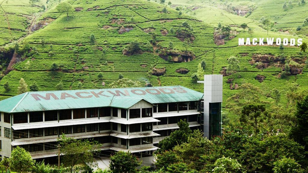 Max Mount View Hotell Nuwara Eliya Eksteriør bilde
